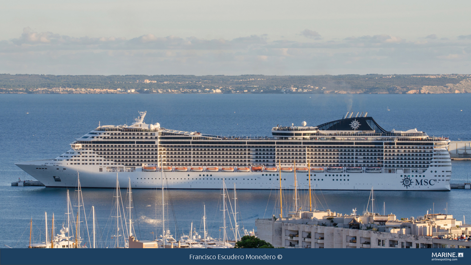 MSC Splendida