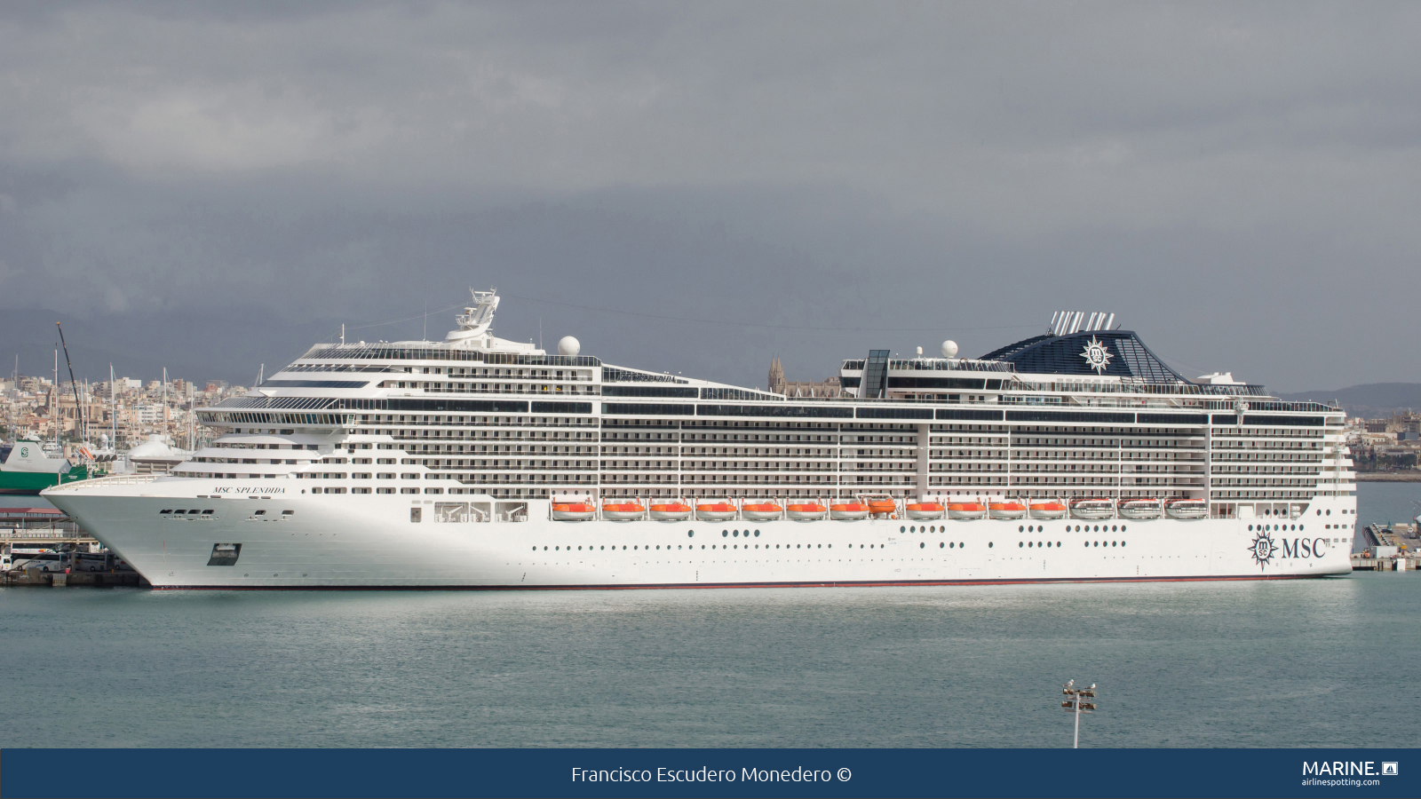 MSC Splendida
